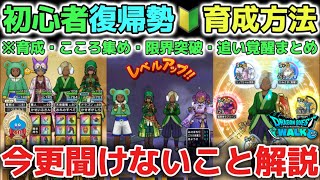 【ドラクエウォーク】初心者🔰復帰勢さん必見!今更聞けない細かな育成方法や各種収集の基準など解説!【DQウォーク】レベル上げ 心集め 最強武器 職業転職 オススメ