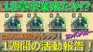 【ドラクエウォーク】スラミチ𠮷野家Ver.に6連続チャレンジした1週間の活動報告！プレイ状況共有！