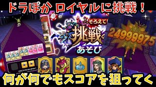 【ドラクエウォーク】ドラぽか挑戦の書 ロイヤルチャレンジ【ドラゴンクエストウォーク】