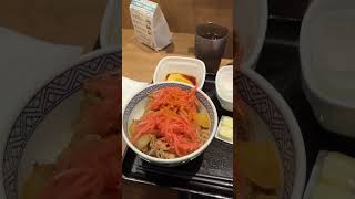 ドラクエウォーク✖️吉野家セット🥢