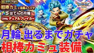 【ドラクエウォーク】相棒カミュ装備ふくびき　はてんの月輪でるまでガチャ【ドラゴンクエストウォーク】