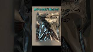 ドラクエウォークセット　吉野家コラボ