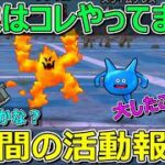 【ドラクエウォーク】ひさしぶりに千里行やりました！1週間の活動報告・プレイ状況共有！
