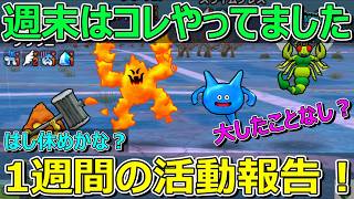 【ドラクエウォーク】ひさしぶりに千里行やりました！1週間の活動報告・プレイ状況共有！