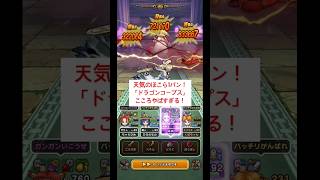 【ドラクエウォーク】ドラゴンコープスこころで天気のほこら1パン攻略!火力ヤバすぎw