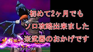 2ヶ月目勇者の討伐記録【ドラゴンコープス】【ドラクエウォーク】