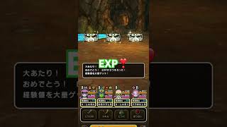 【 #dqw 】ボーナスダンジョン改EXPが揃った❣️ガチャは最新武器が当たらないのに。