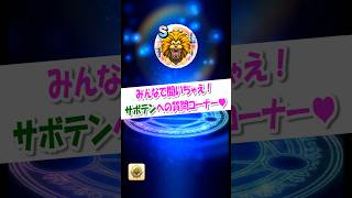 サボテンへの質問コーナー3【ドラクエウォーク】