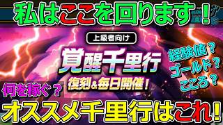 【ドラクエウォーク】平日毎日千里行はこれがオススメです！私はこうします！