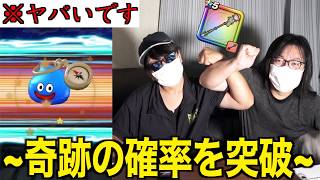 あ…最後のラッキーフォーチュンガチャに魂を賭けた結果【ドラクエウォーク】【ドラゴンクエストウォーク】