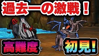 【ドラクエウォーク】こういうのが楽しいよね！高難度初見