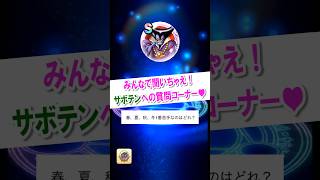 サボテンへの質問コーナー６【ドラクエウォーク】