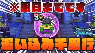 【🔴ドラクエウォーク】追い込み覚醒千里行!!欠片集め耐久