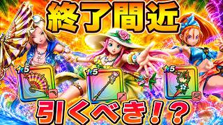 【ドラクエウォーク】終了間近！このガチャ本当に引くべき！？後悔する前に最終チェック！
