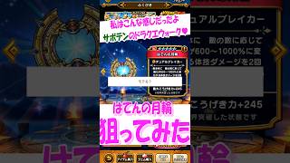 サボテンへの質問コーナー８【ドラクエウォーク】